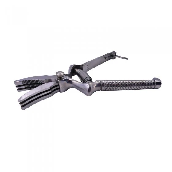 Masticateur En Inox 2 Masticateur En Inox – Image 2